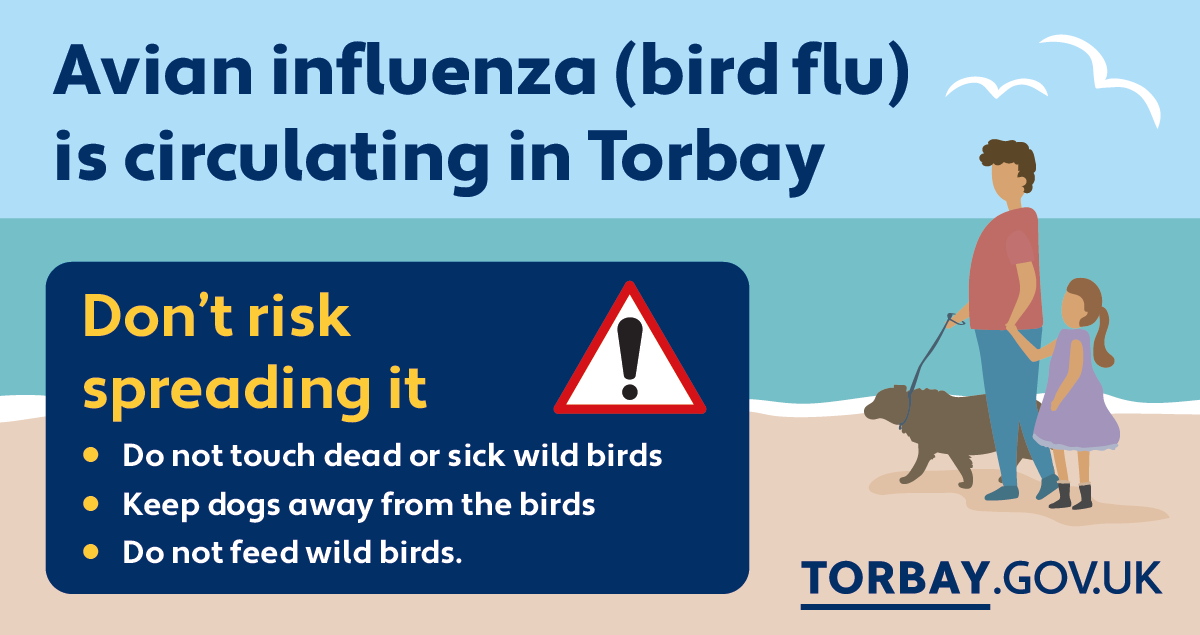 Avian Influenza Update Torbay Council
