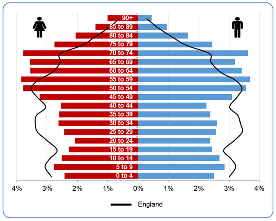 Population pyramid, Torbay (2019). Please contact us if you would like this information in a different format.