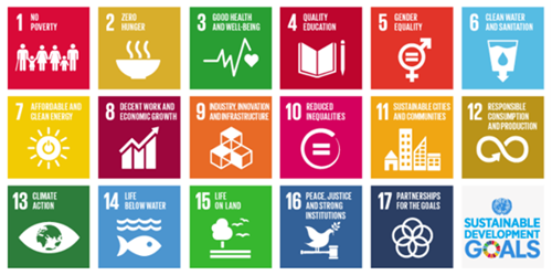 Infograph showing all 17 UN sustainable development goals.